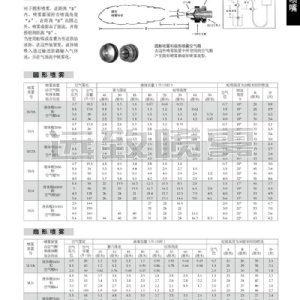 空气雾化喷嘴JAC型