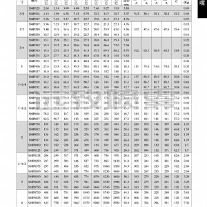 超大通径防堵塞实心锥形喷嘴SMP